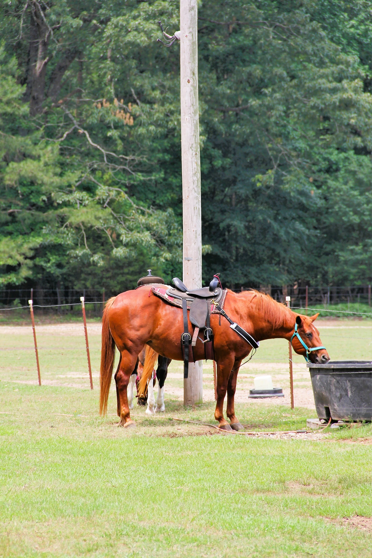Beavers Bend (369).JPG