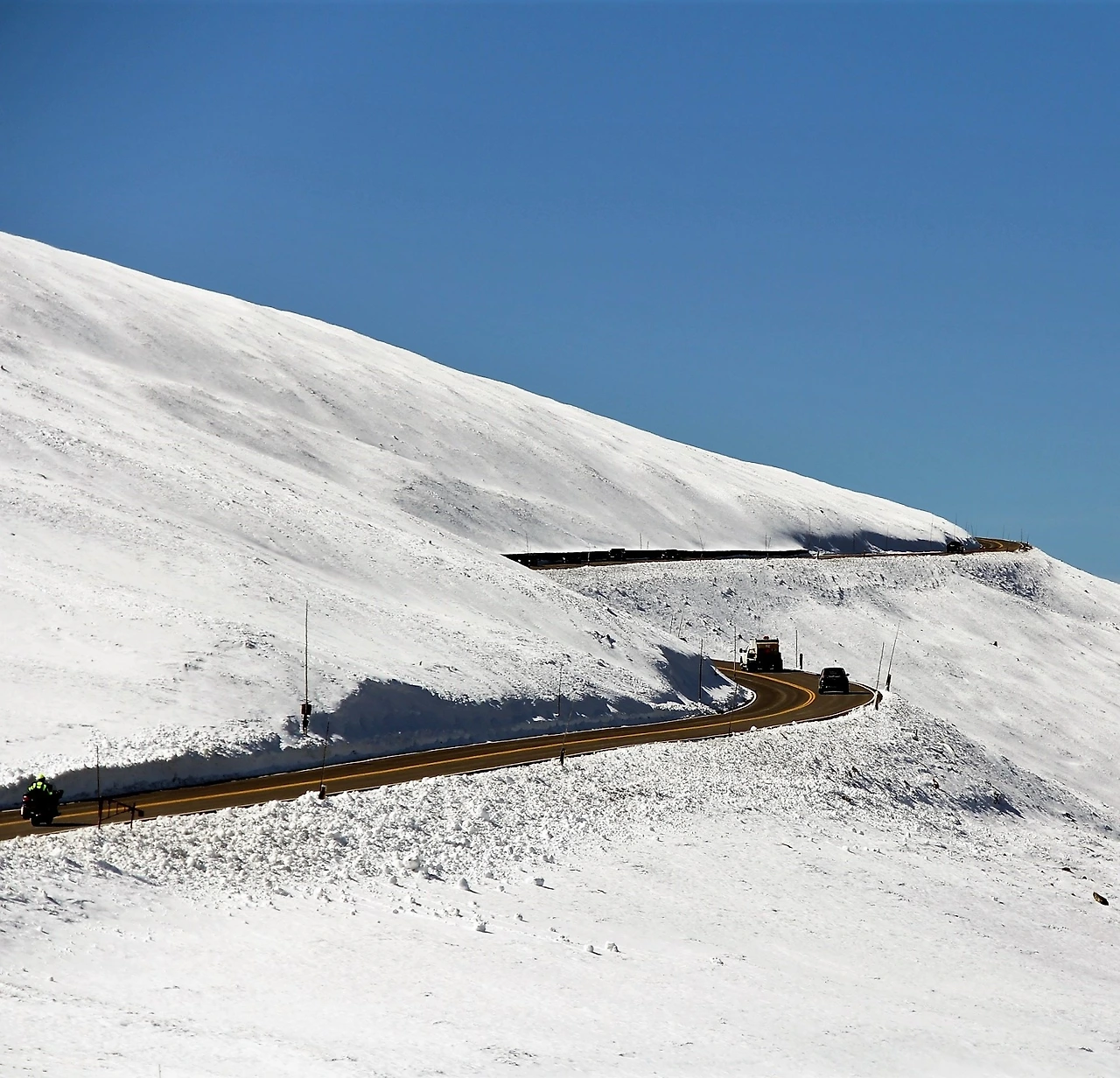 Aspen Foliage (263).JPG