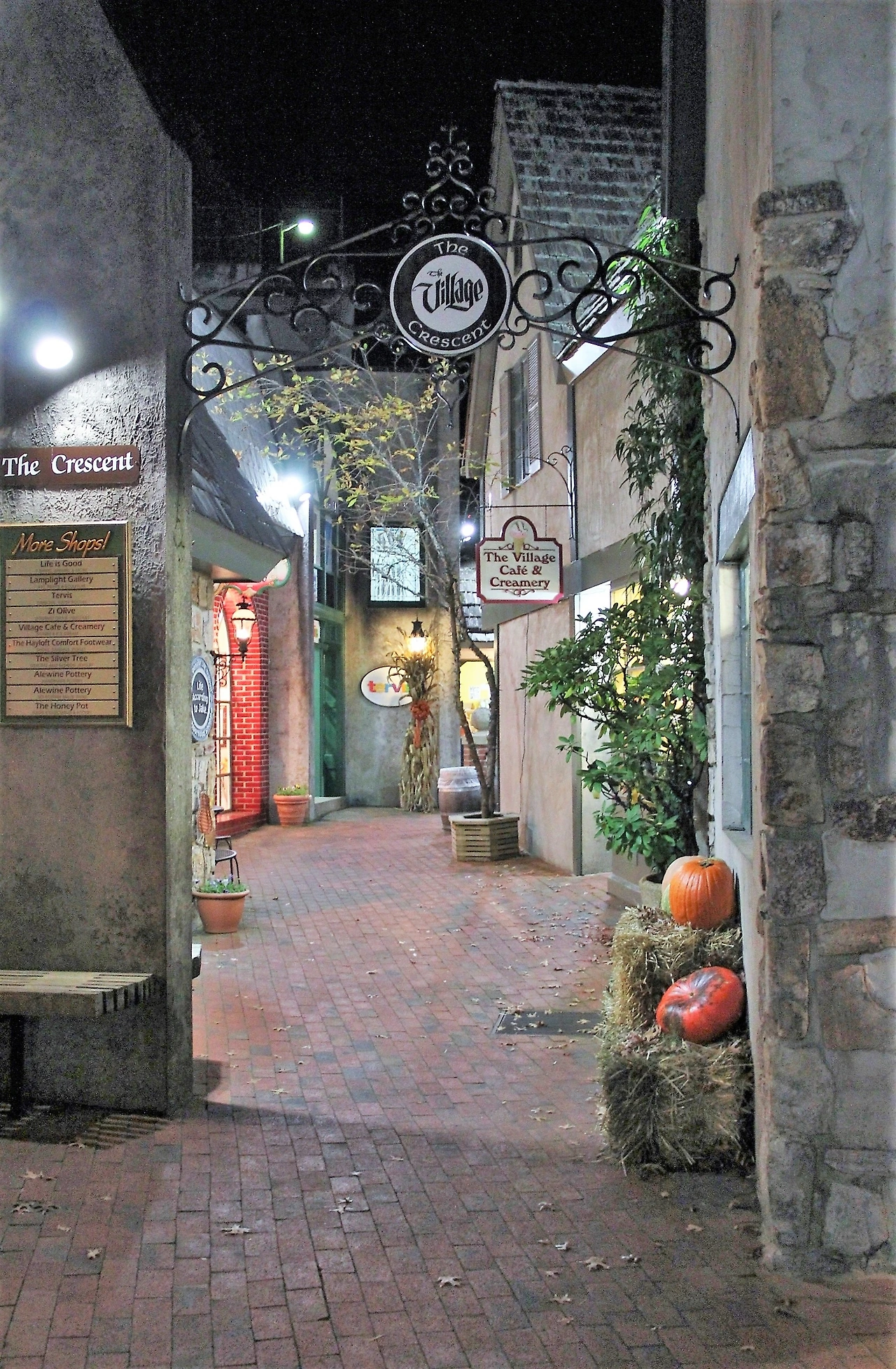 Country Music 여행 (907).JPG