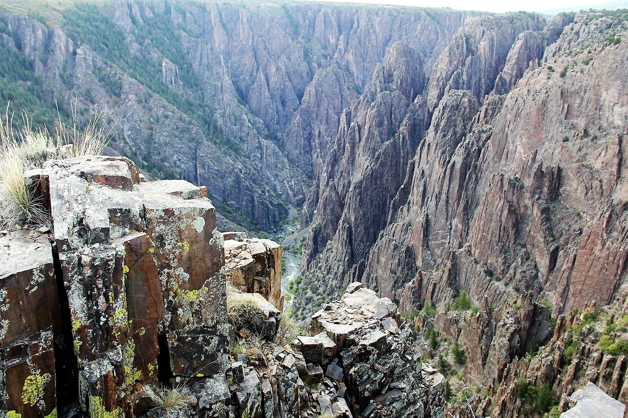 Aspen Foliage (817).JPG