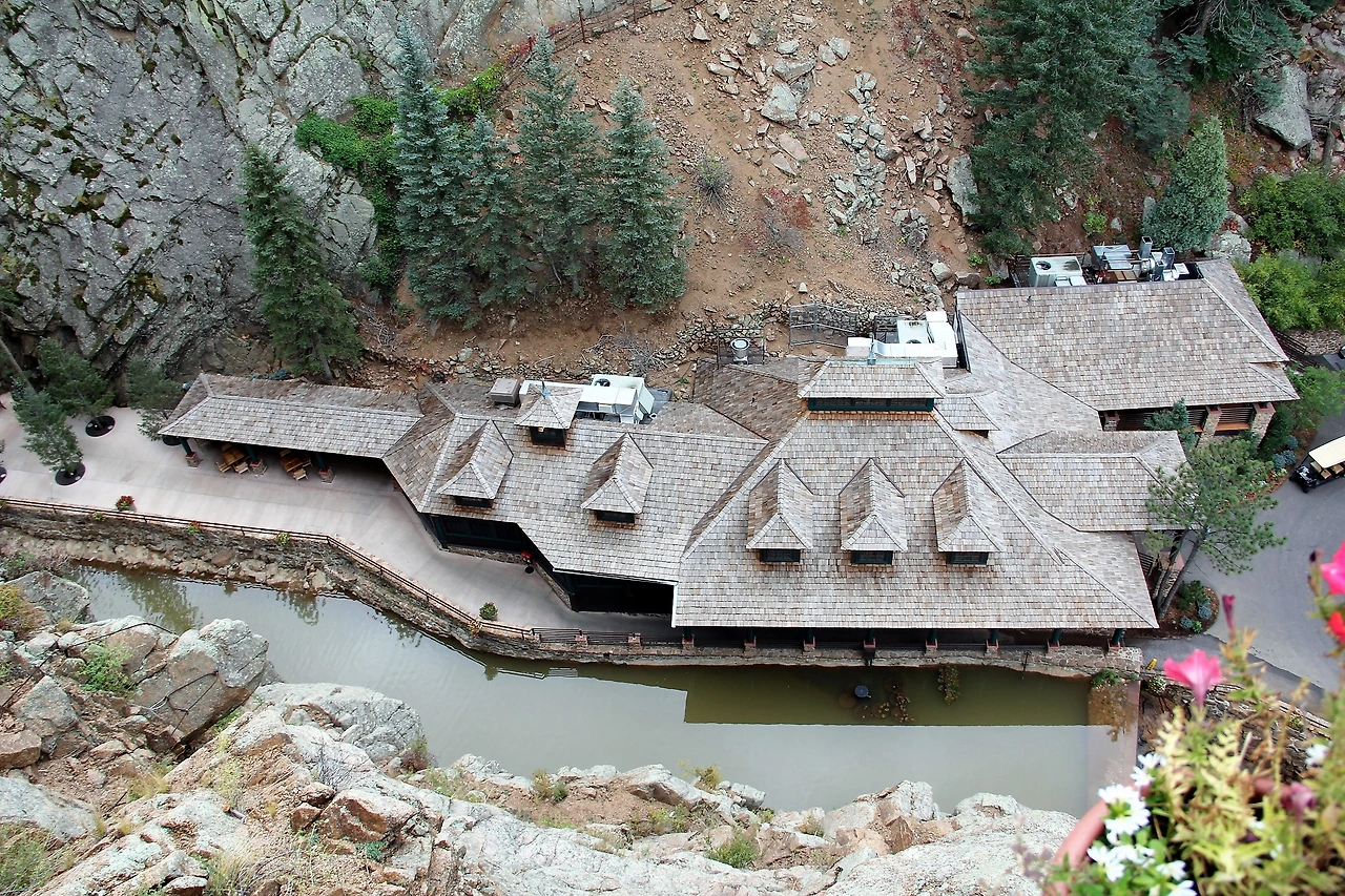 Aspen Foliage (61).JPG