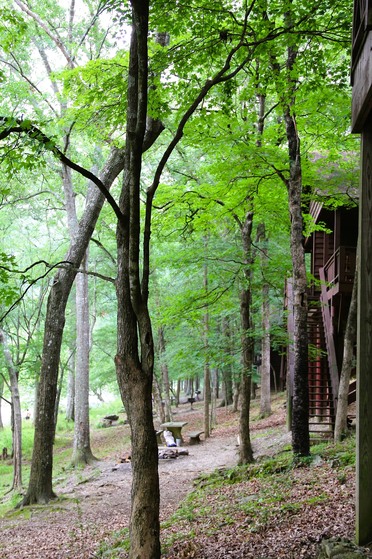 Beavers Bend (157).JPG