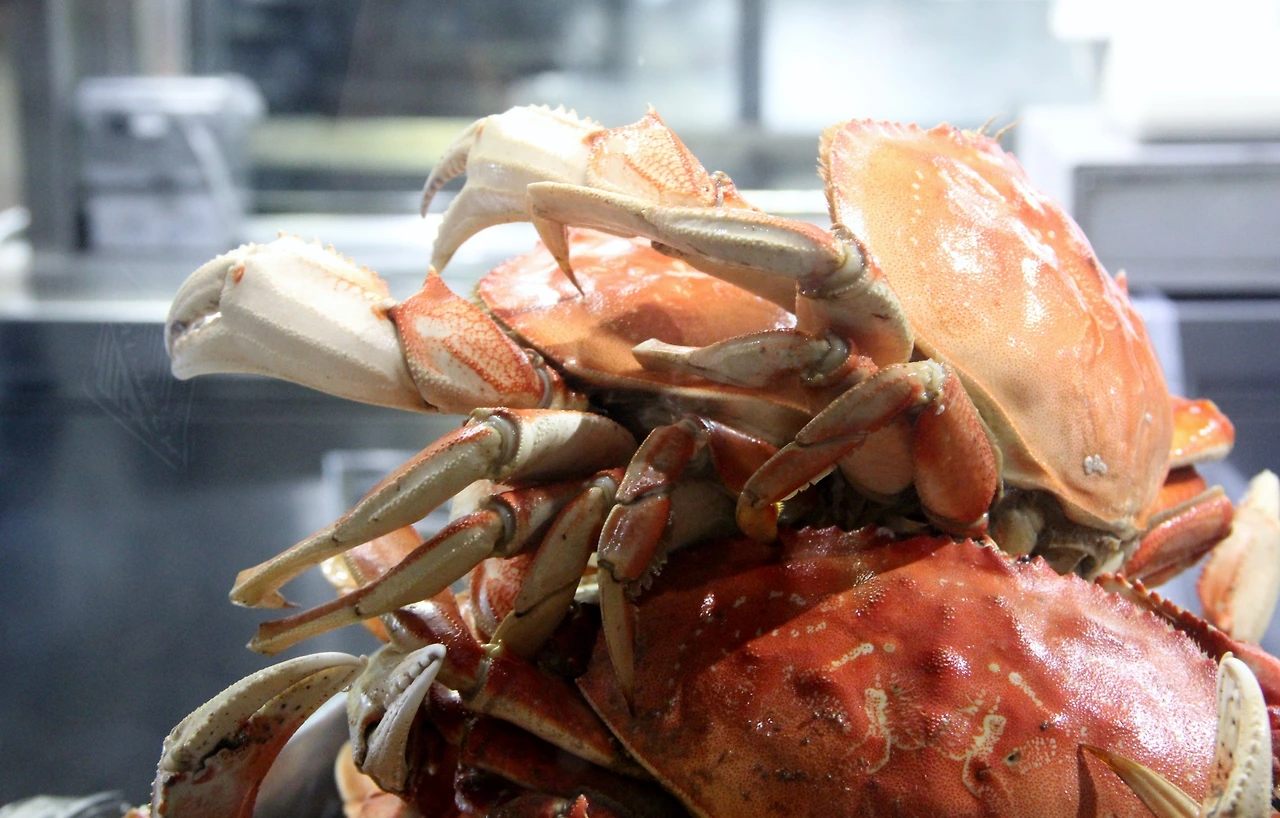 San Francisco & Napa (44).JPG