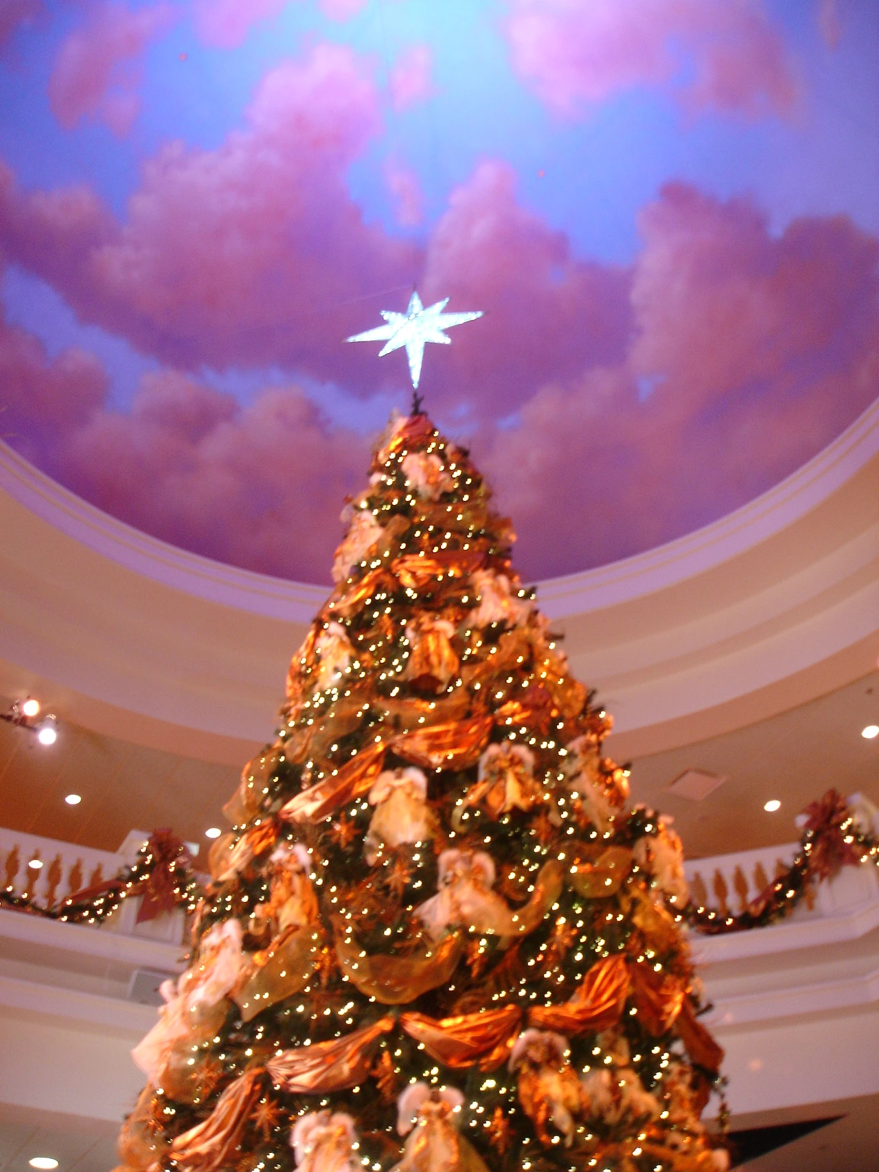 미조리 Branson (261).JPG