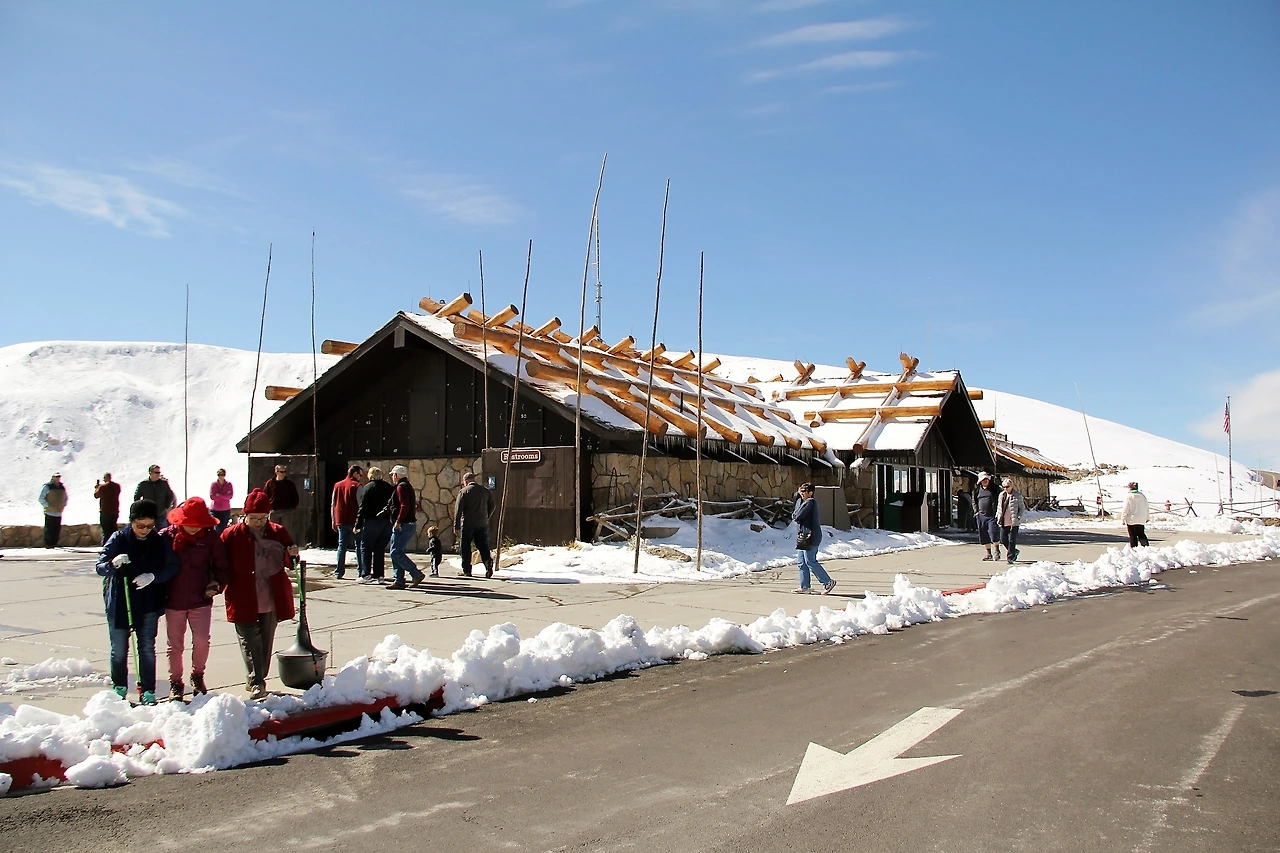 Aspen Foliage (260).JPG