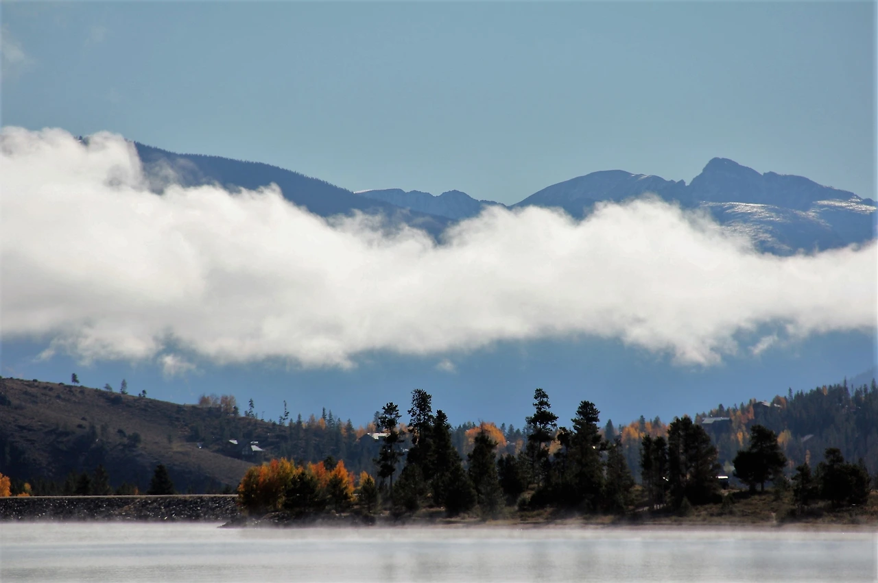 Aspen Foliage (206).JPG