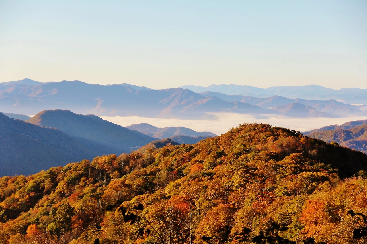 Country Music 여행 (984).JPG