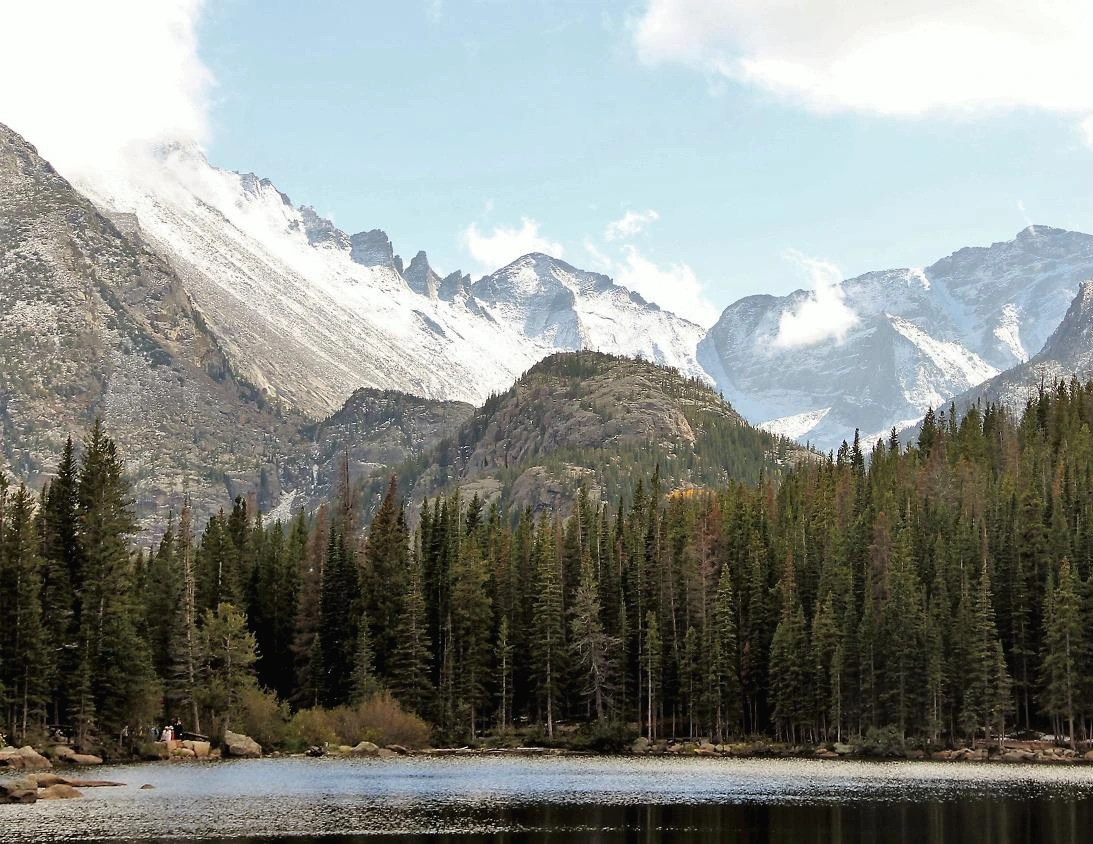 Aspen Foliage (383).JPG