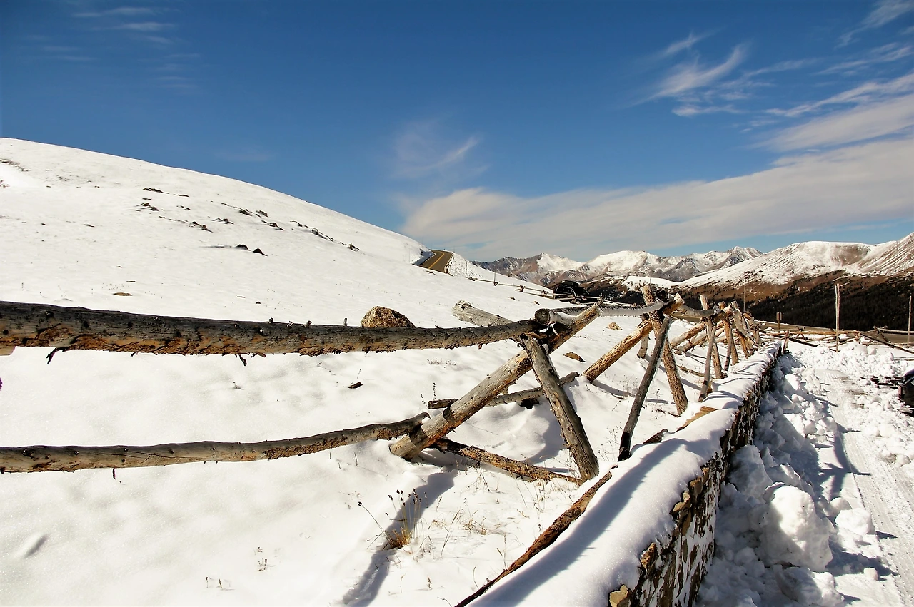 Aspen Foliage (251).JPG
