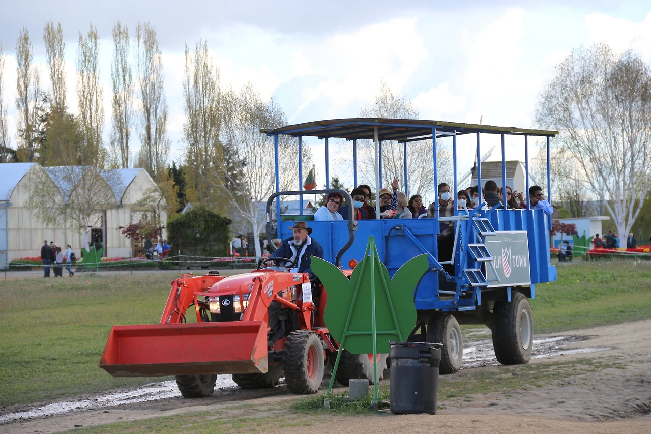 Skagit Valley Tulip Festival (622).JPG