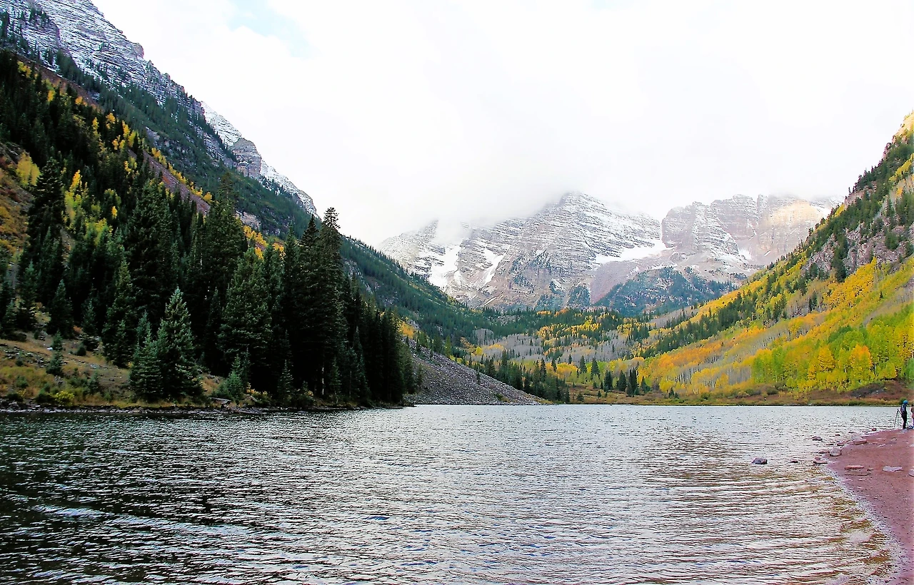 Aspen Foliage (625).JPG