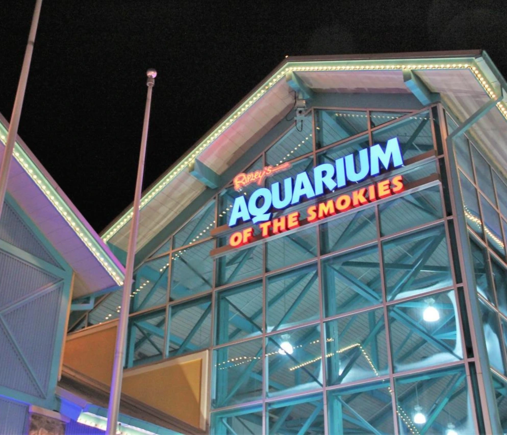 Smoky Mountains을 향해 (504).JPG