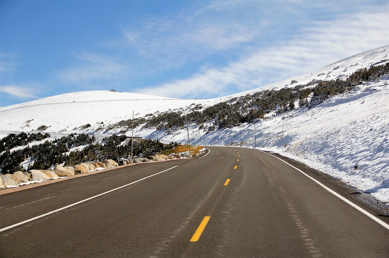 Aspen Foliage (248).JPG