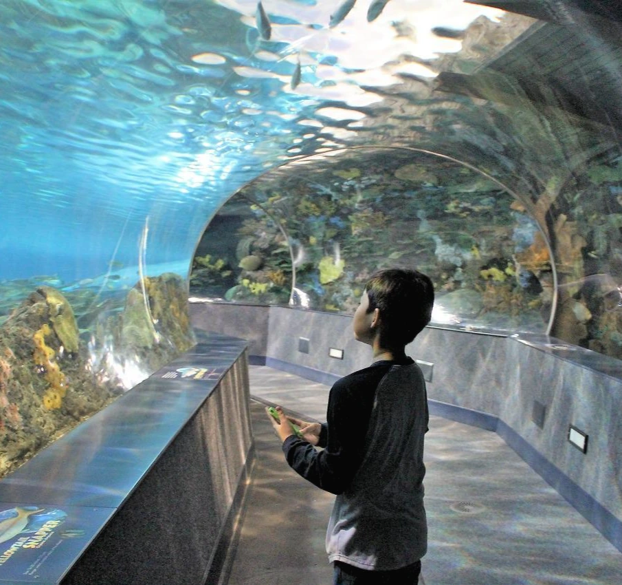 Smoky Mountains을 향해 (428).JPG