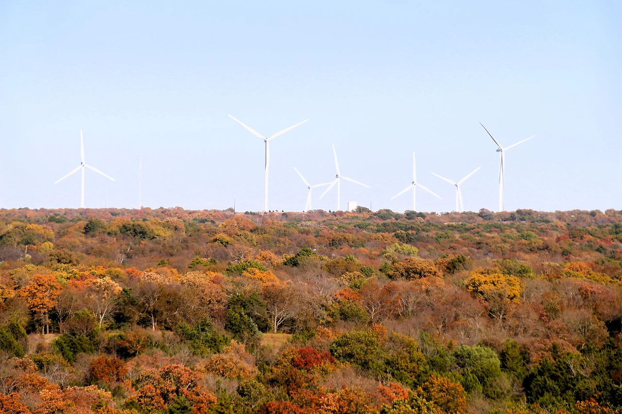 치카소 여행 (190).JPG