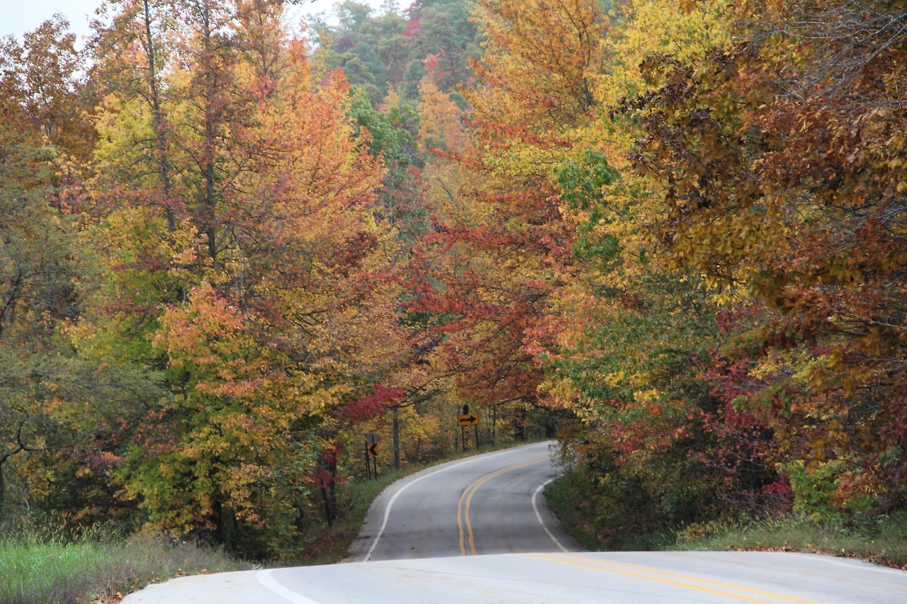 Eureka Springs-Branson 음악여행 (445)-Andy-PC.JPG