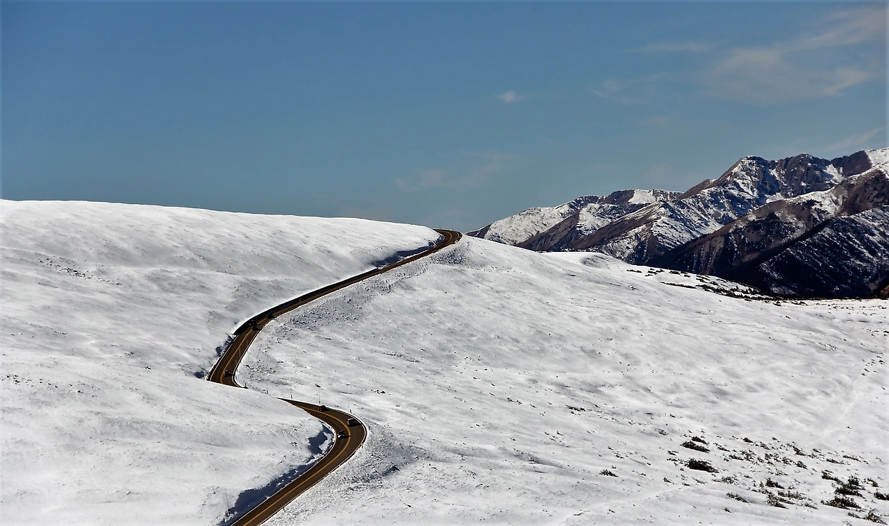 Aspen Foliage (299).JPG