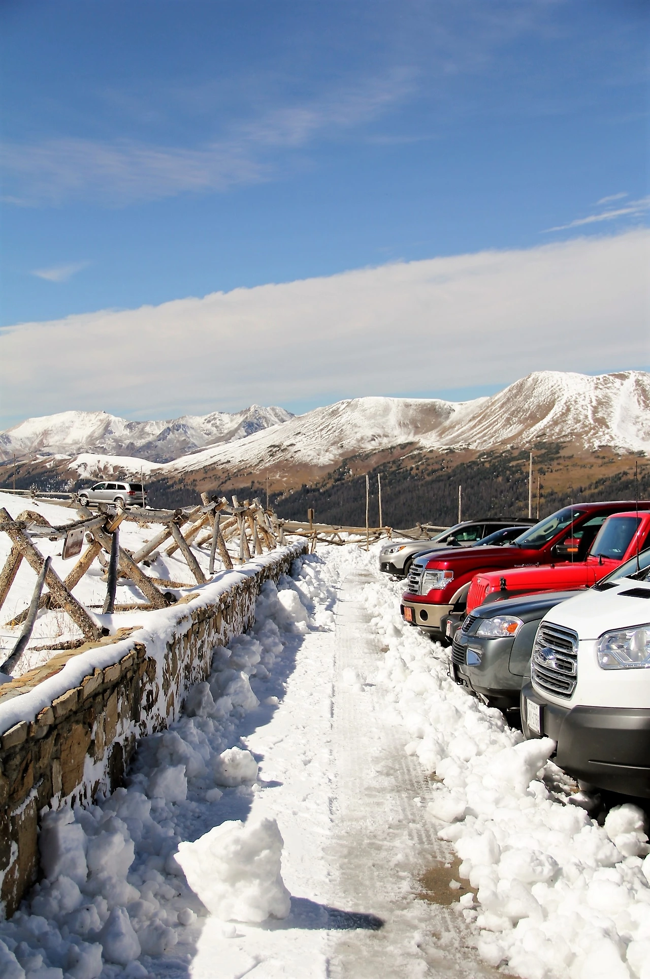 Aspen Foliage (340).JPG