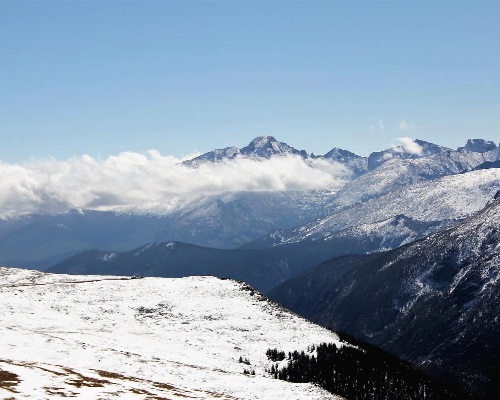Aspen Foliage (358).JPG