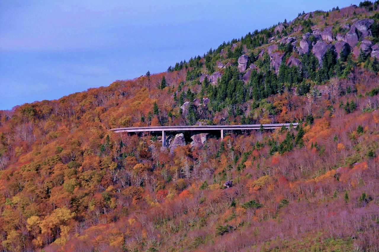 Country Music 여행 (1253).JPG