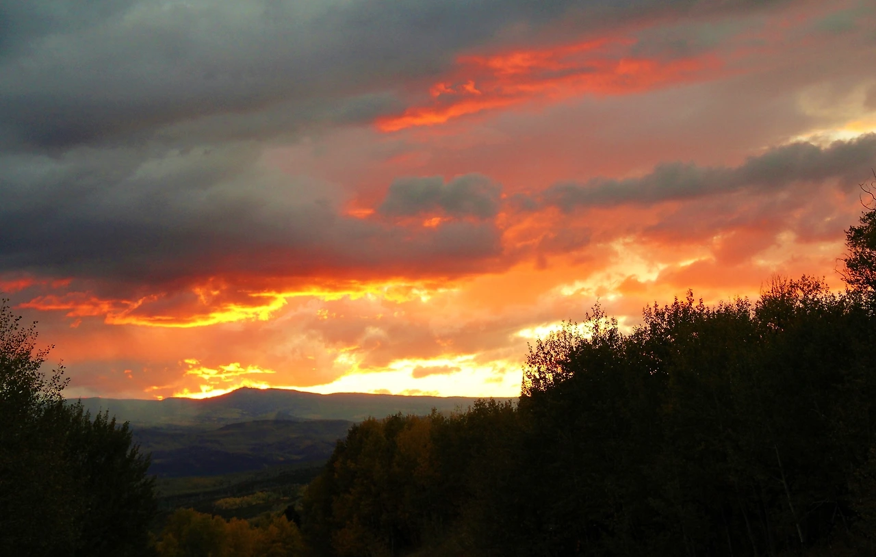 Aspen Foliage (824).JPG