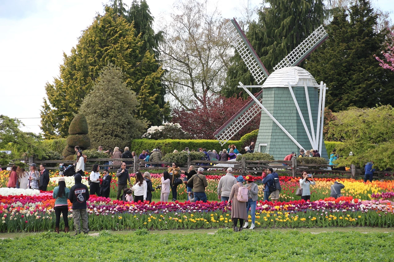 Skagit Valley Tulip Festival (516).JPG