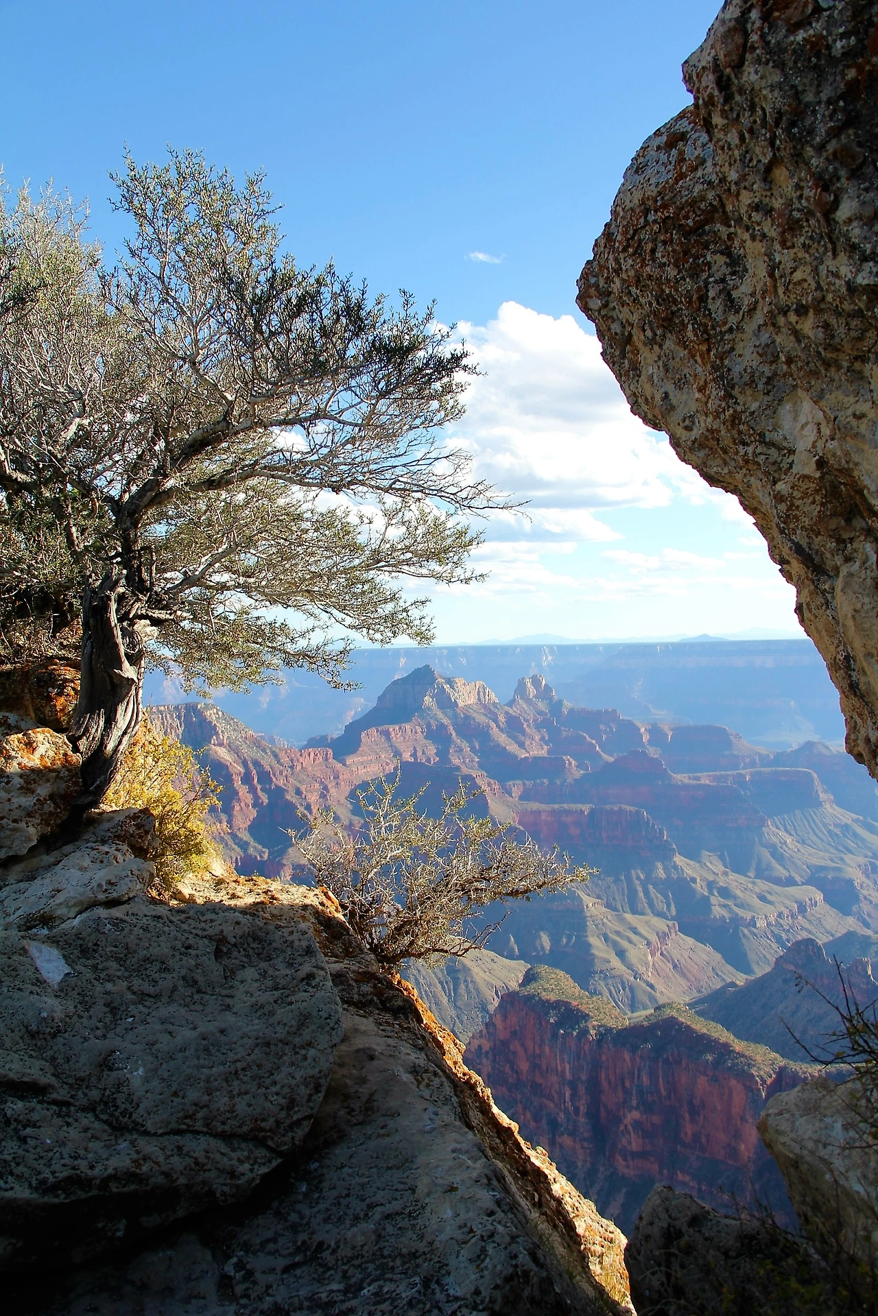 Arizona & Colorado (1002).JPG
