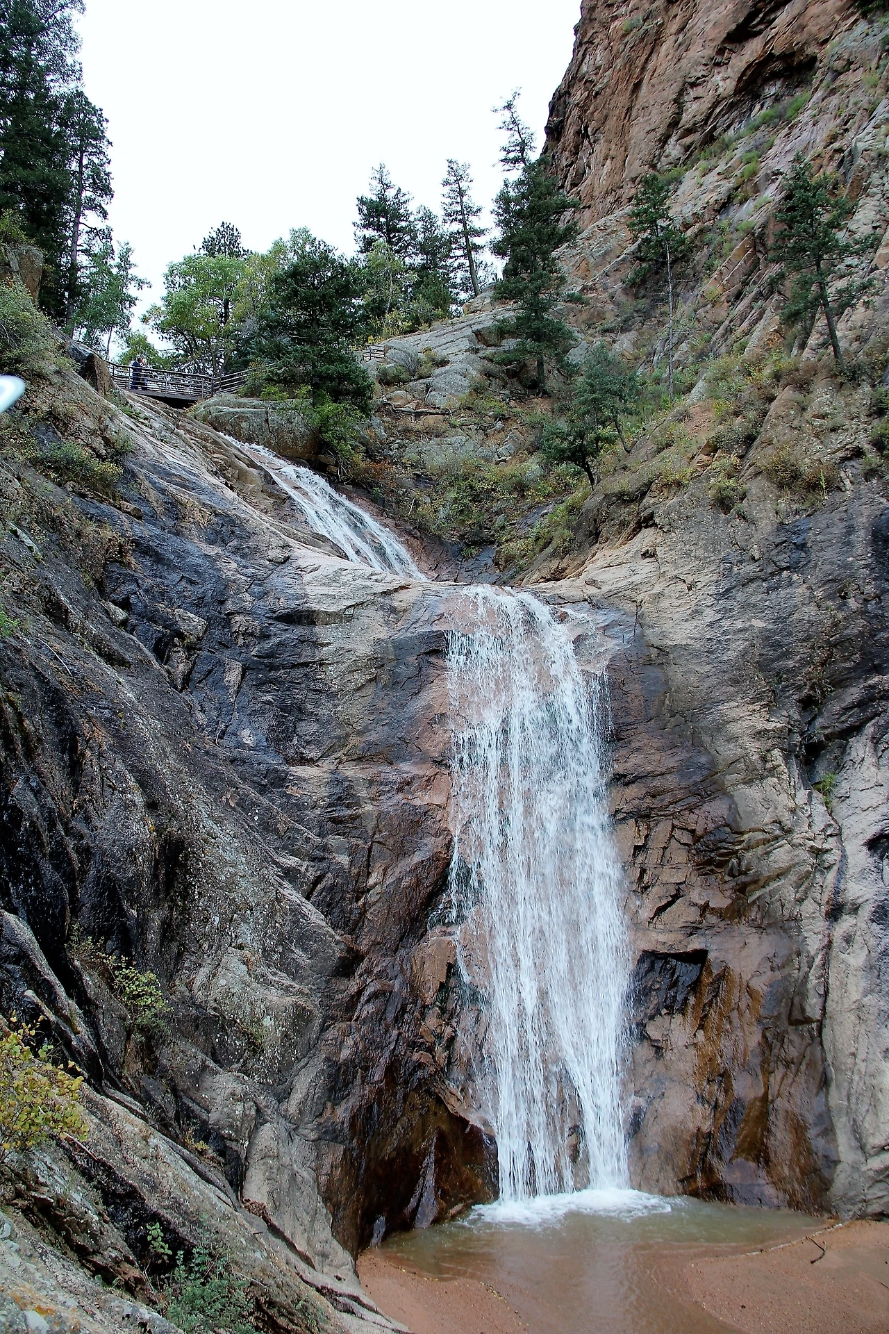 Aspen Foliage (104).JPG