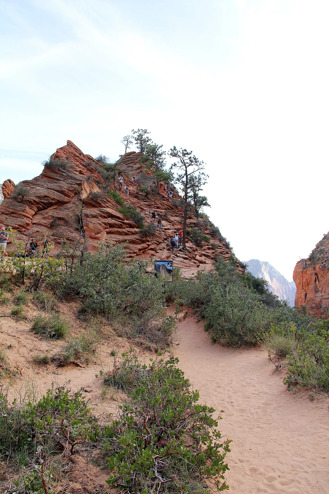 Arizona & Colorado (836).JPG