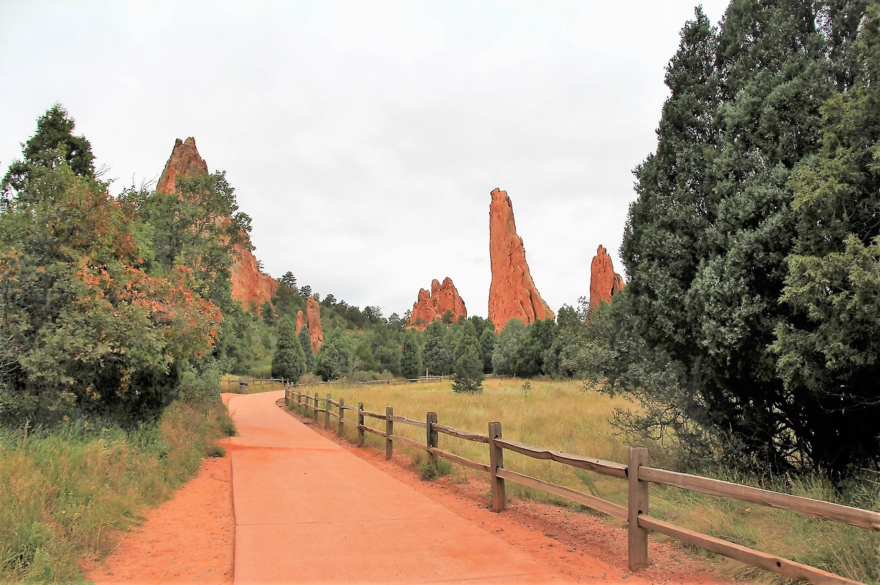 Aspen Foliage (18).JPG