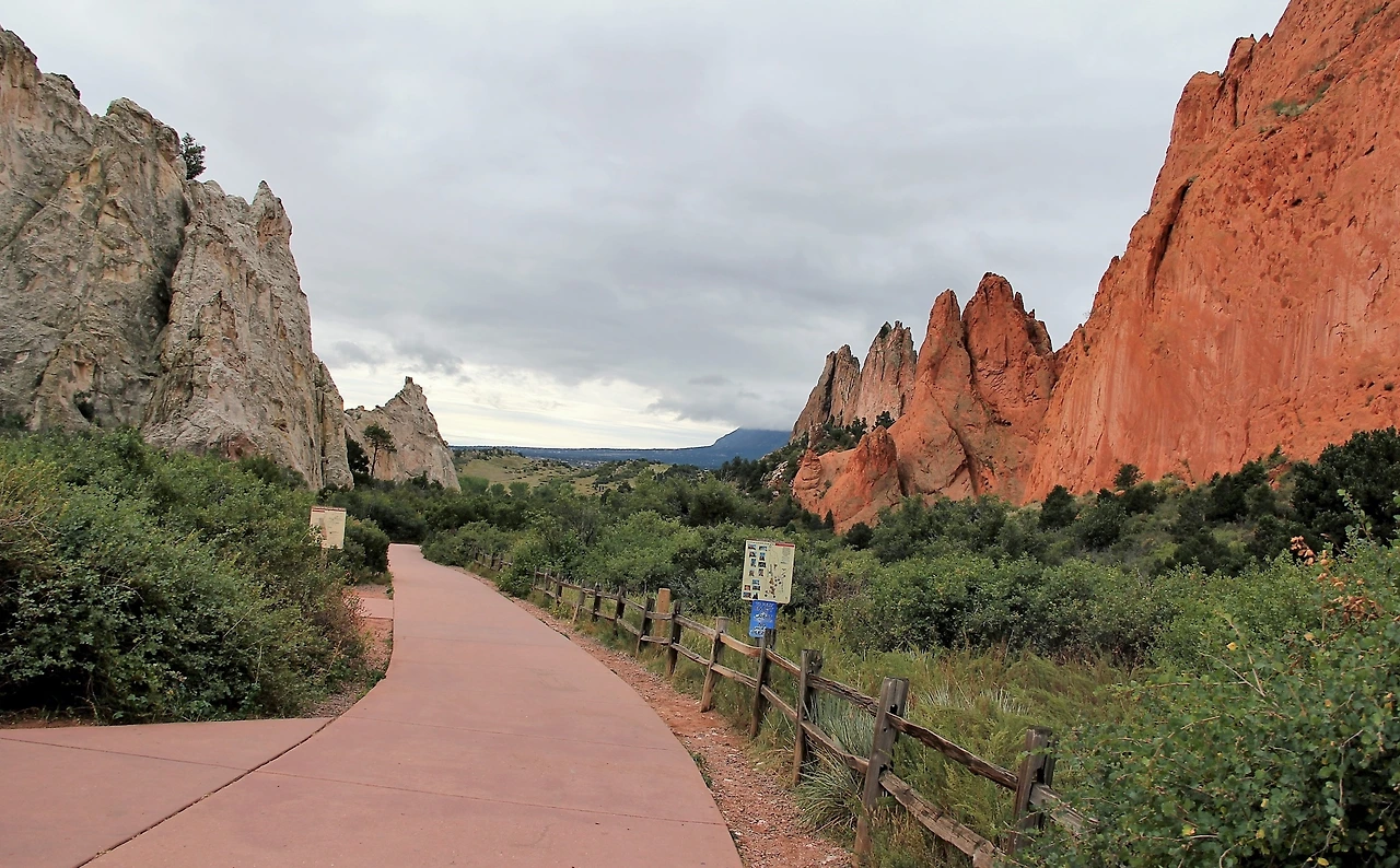 Aspen Foliage (5).JPG