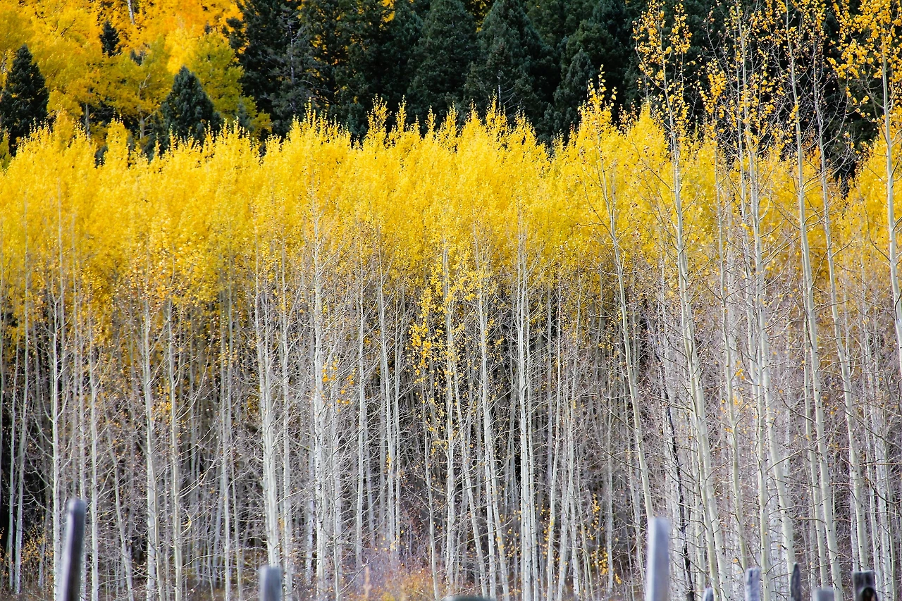 Arizona & Colorado (2208)-Andy-PC.JPG