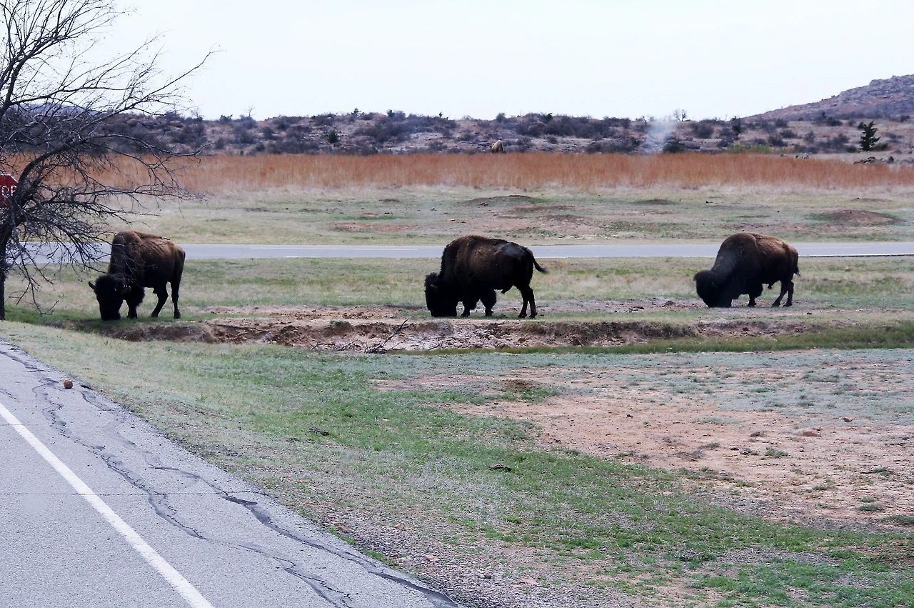 Wichita Mountains (233).JPG