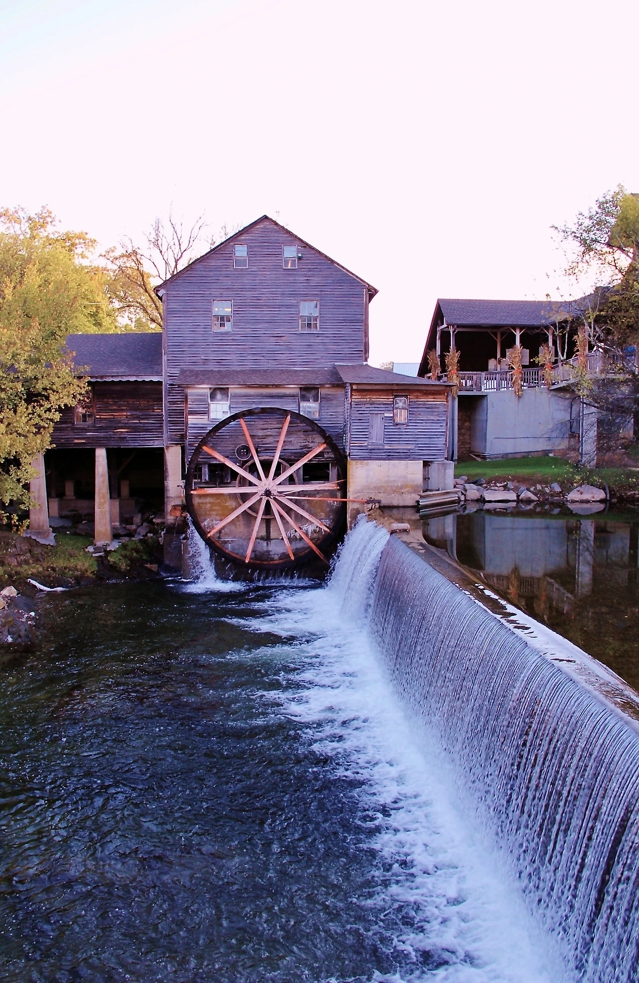 Country Music 여행 (586).JPG