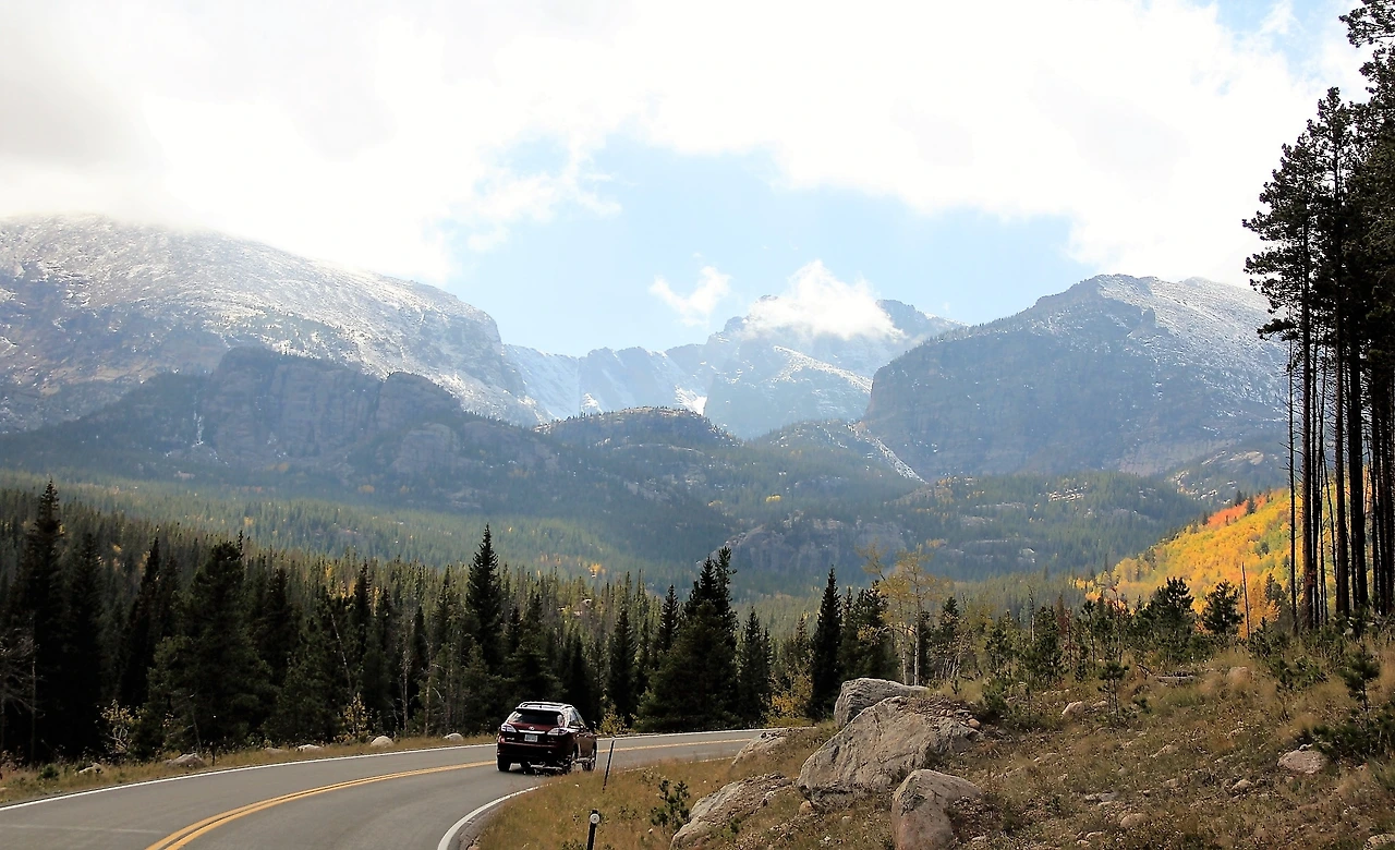 Aspen Foliage (371).JPG