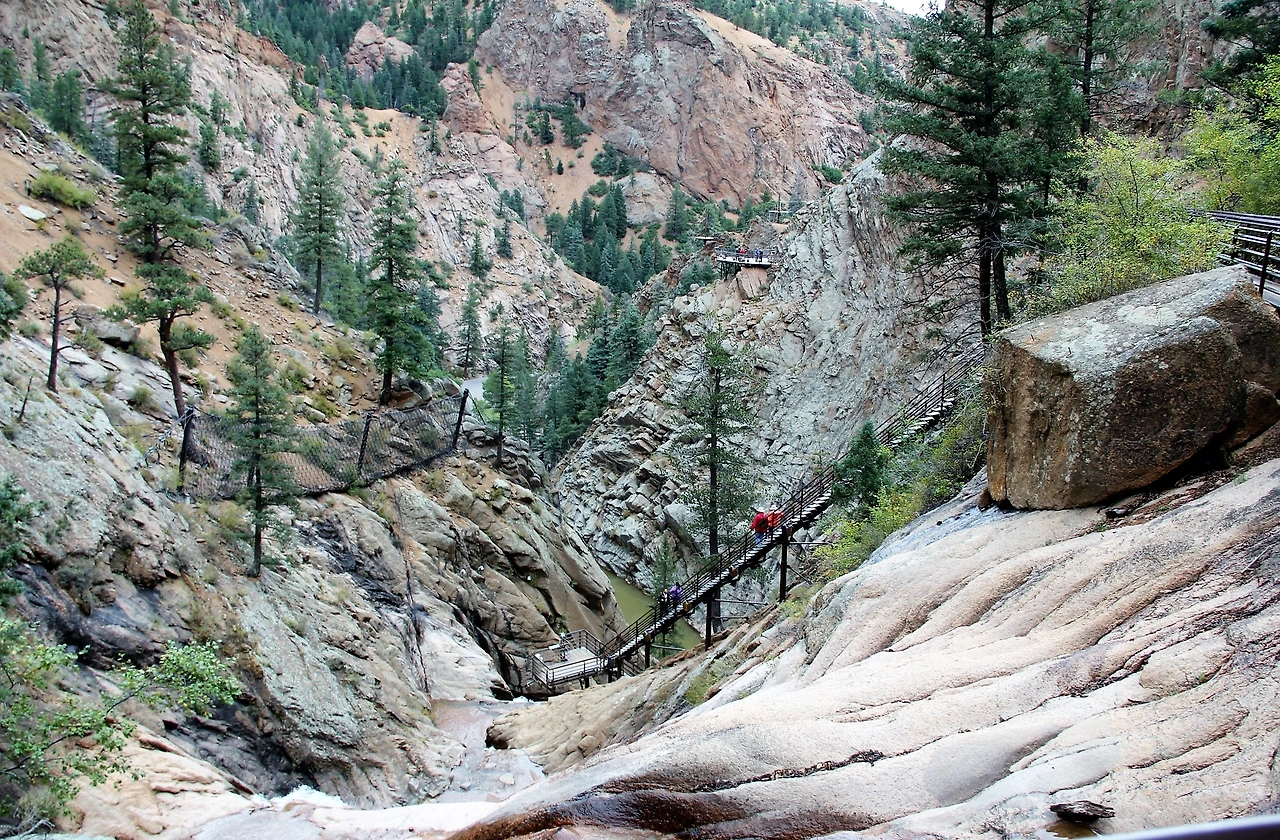 Aspen Foliage (114).JPG