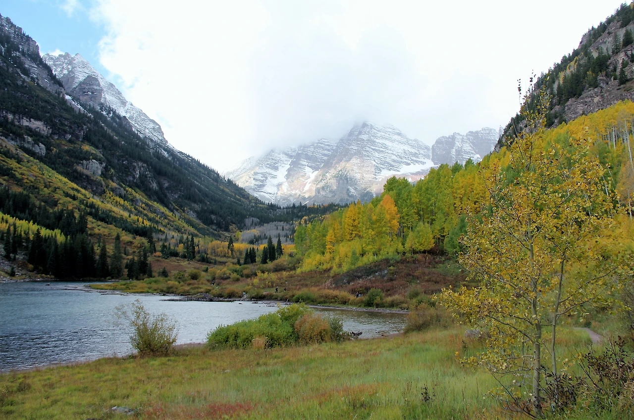 Aspen Foliage (741).JPG