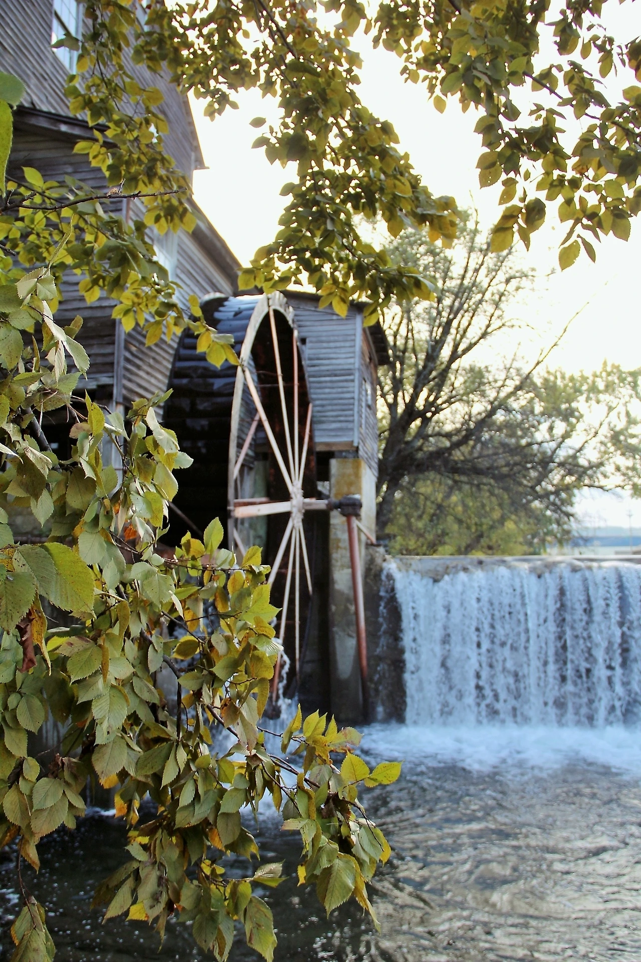 Country Music 여행 (619).JPG