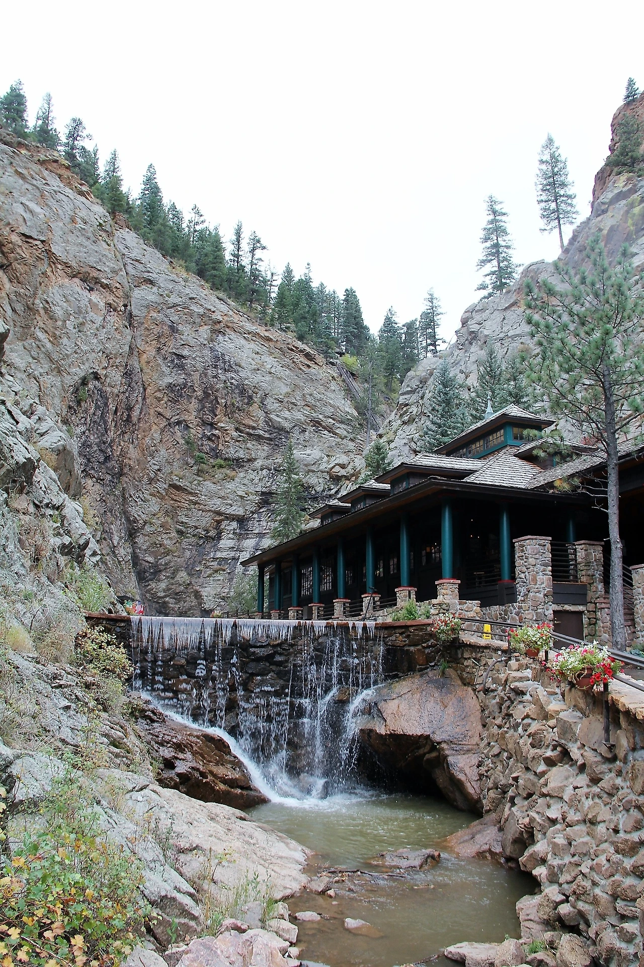 Aspen Foliage (41).JPG