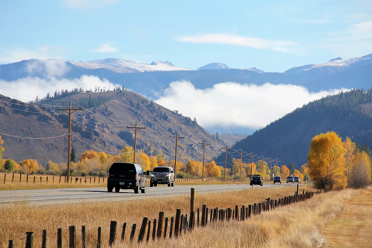 Aspen Foliage (198).JPG