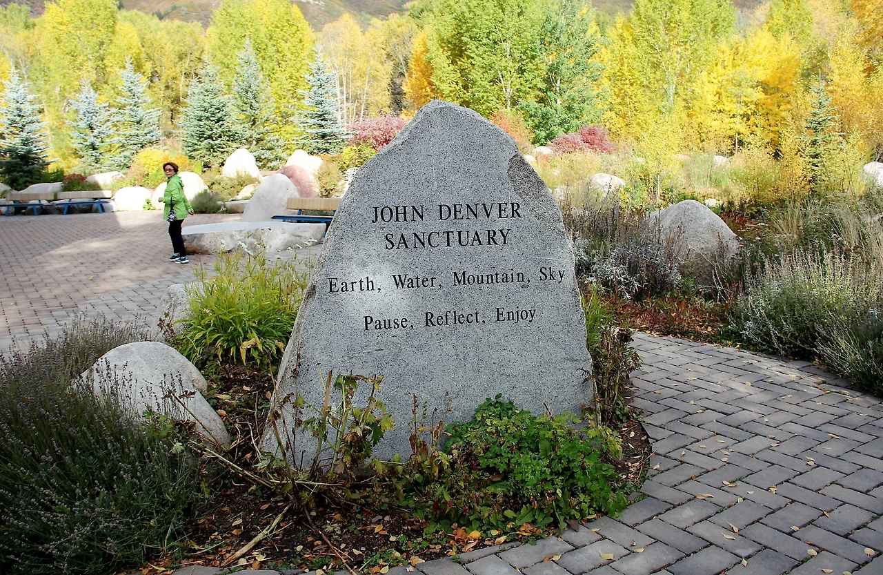 Aspen Foliage (576).JPG