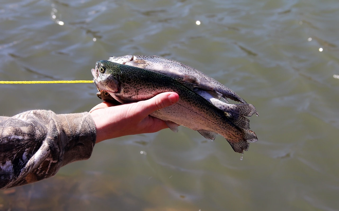 Wichita Mountains 목화밭 (146)-Andy-PC.JPG