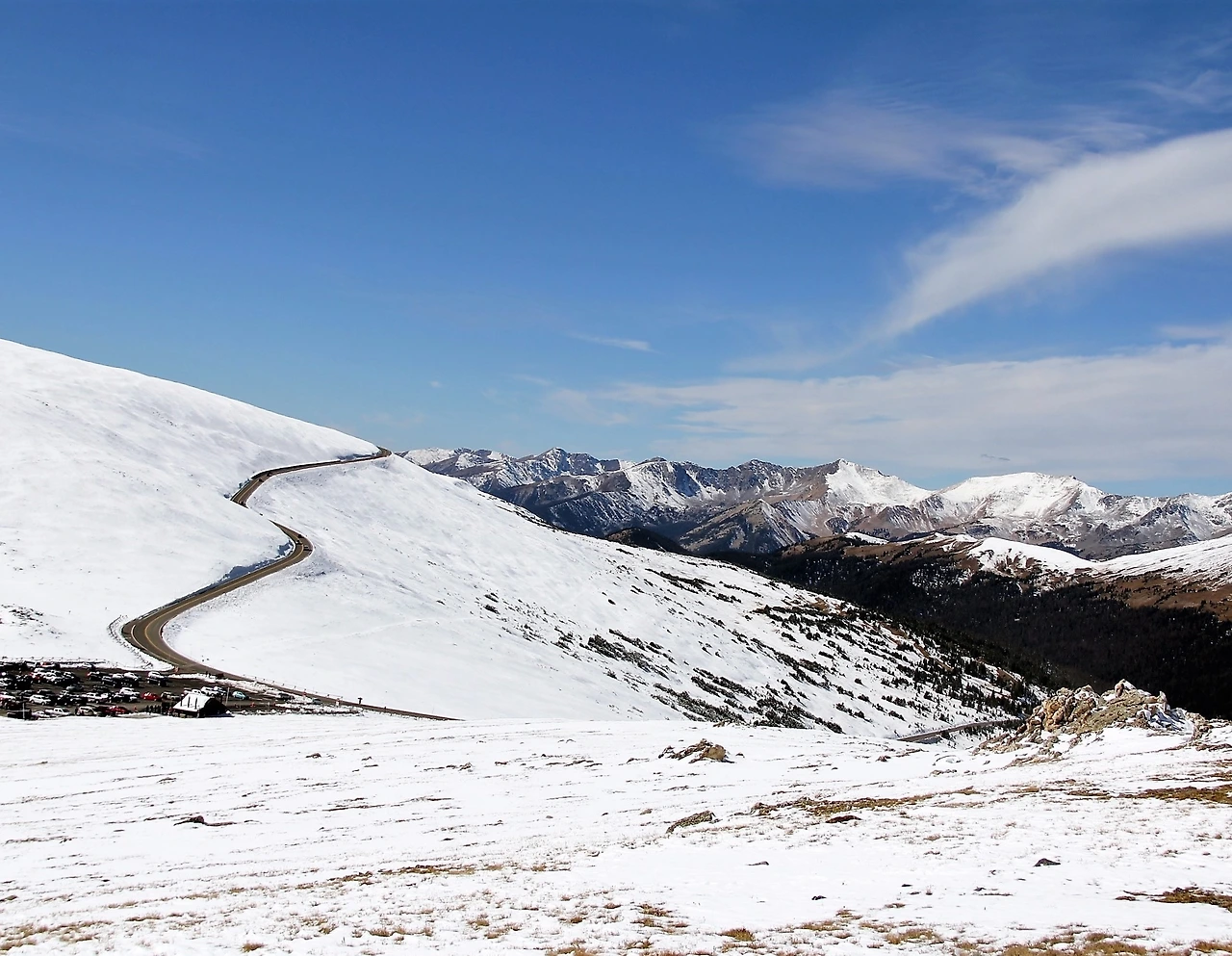 Aspen Foliage (298).JPG