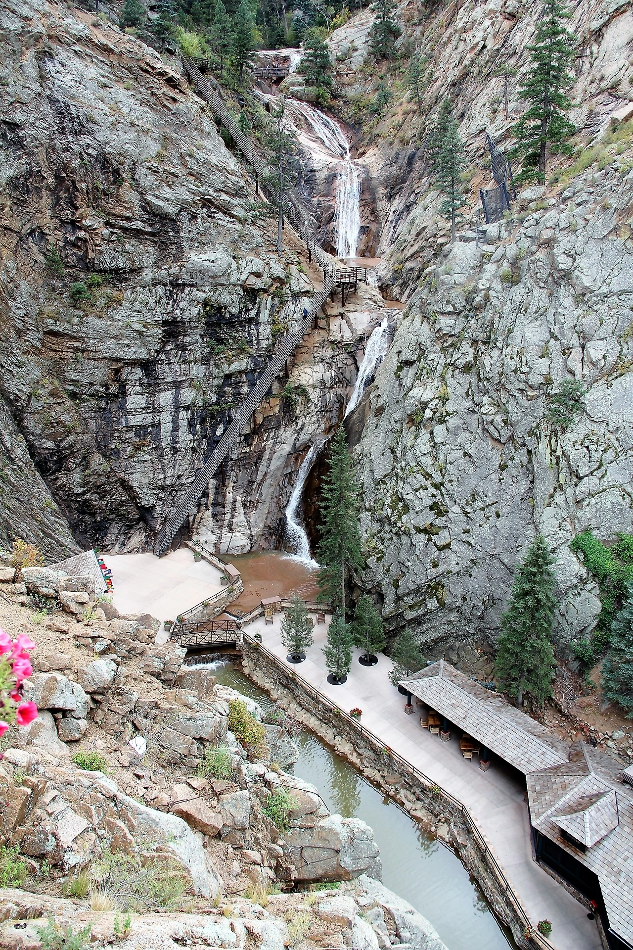 Aspen Foliage (62).JPG