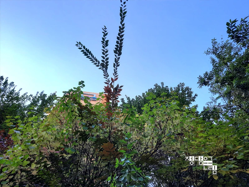 %EB%8A%90-2.jpg?type=w1