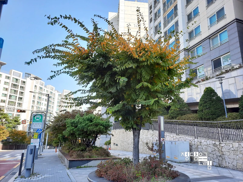 %EB%8A%90-1.jpg?type=w1