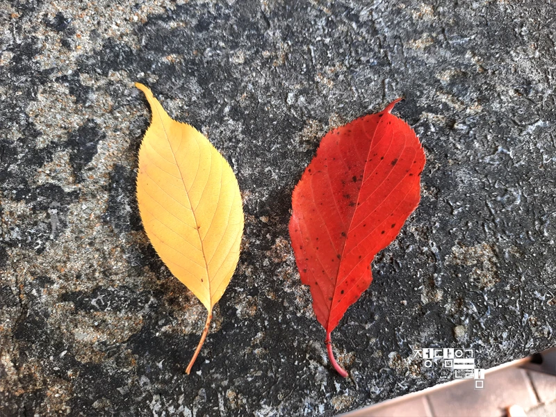 %EB%8A%90-15.jpg?type=w1