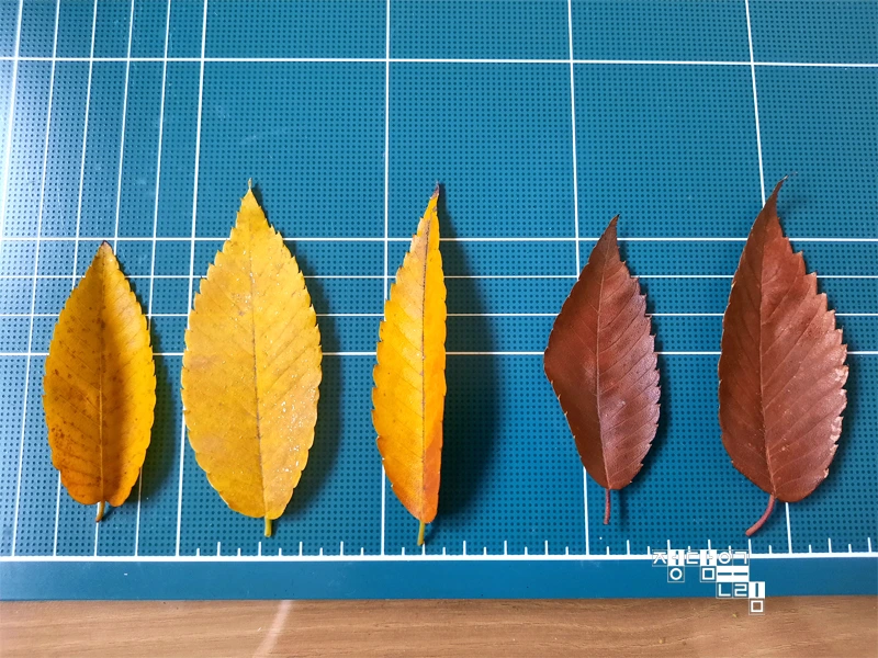 %EB%8A%90-7.jpg?type=w1