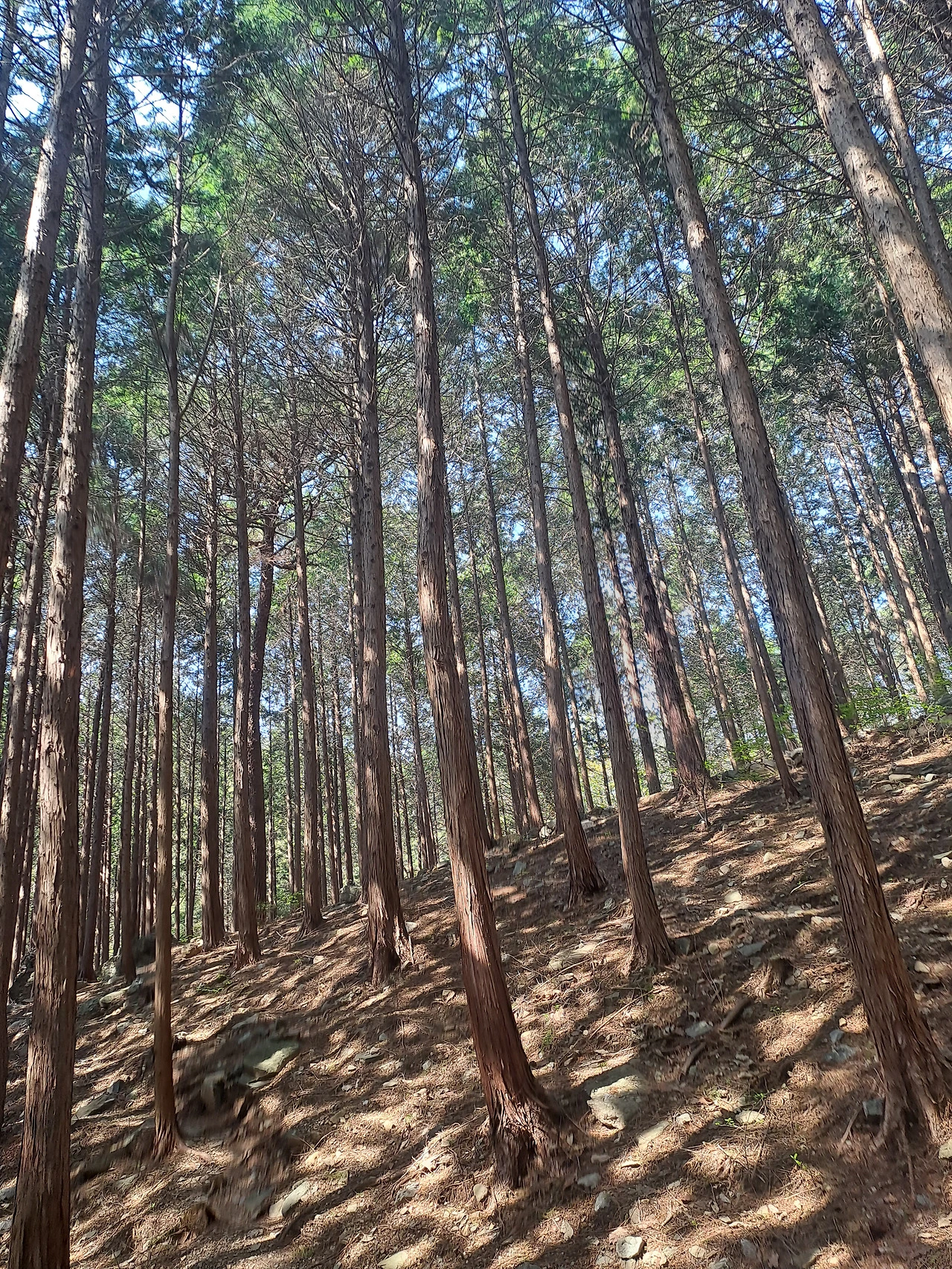 20250426_145333 - 복사본.heic