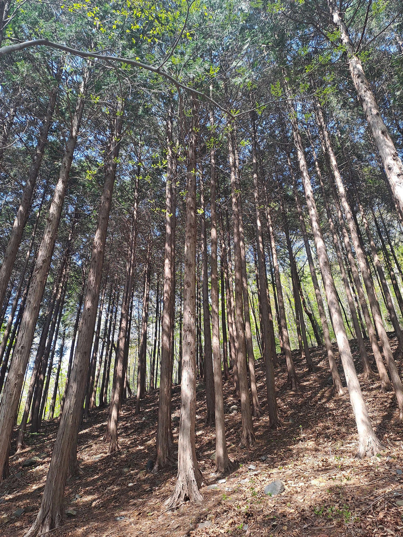 20250426_145027 - 복사본.heic